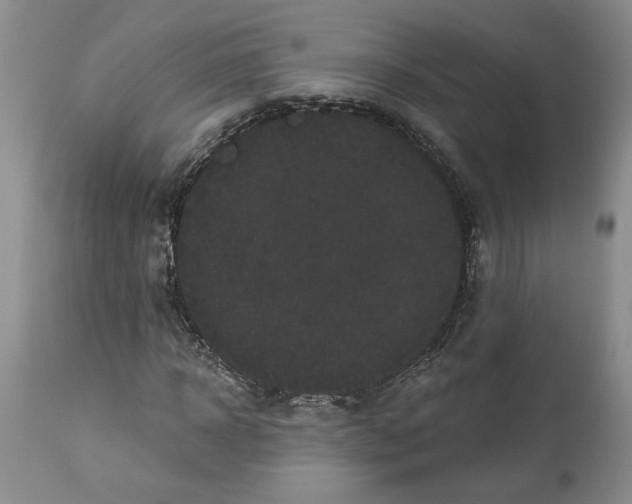 X0000113980918200910231704