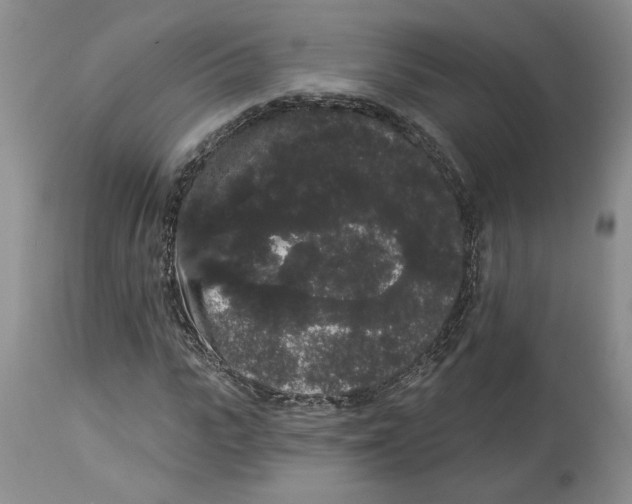 X0000113980919200910231704