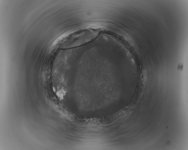 X0000113980920200910231704