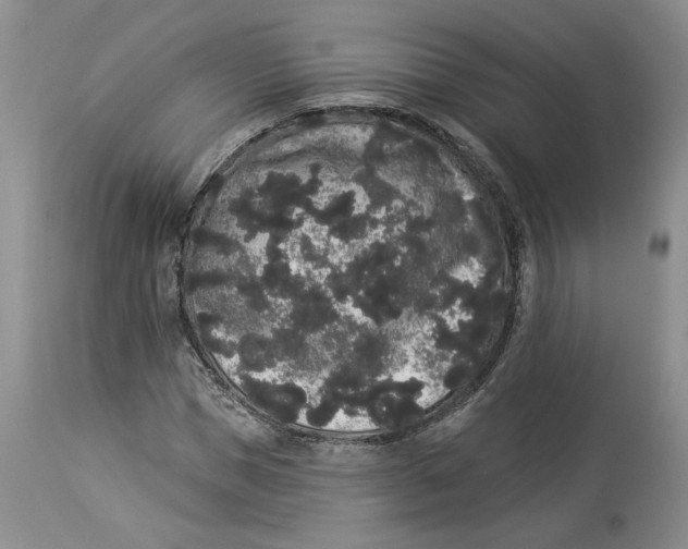 X0000113980921200910231705