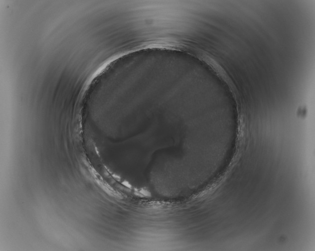 X0000113980923200910231705