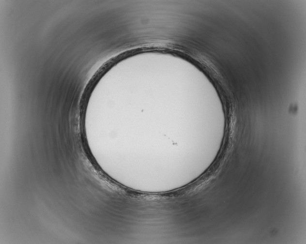 X0000113980924200910231705