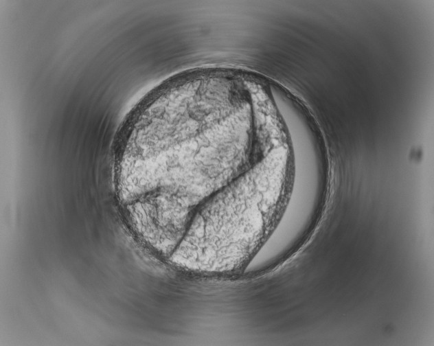 X0000113980925200910231705