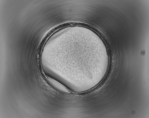 X0000113980926200910231705