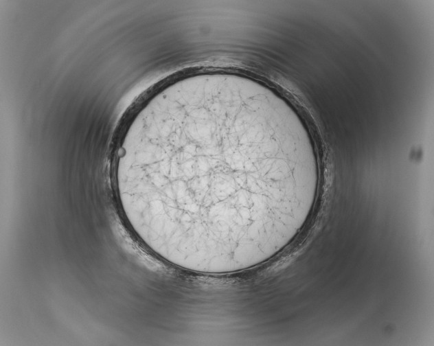 X0000113980928200910231705