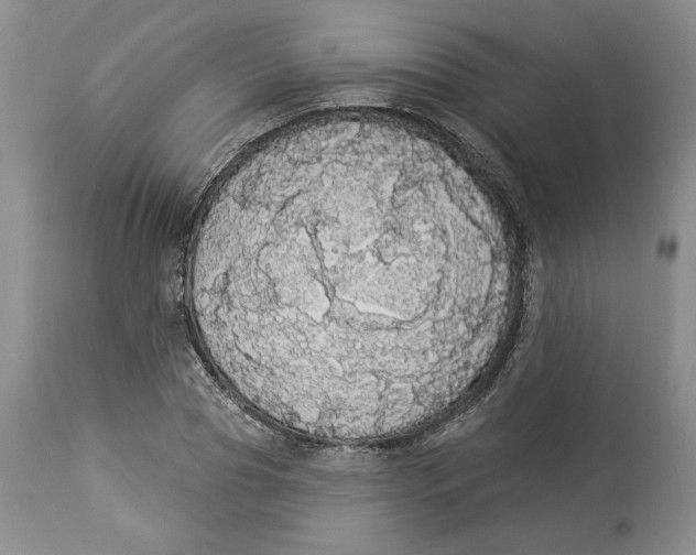 X0000113980929200910231705