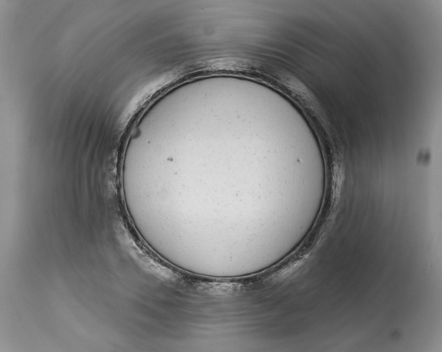 X0000113980930200910231705