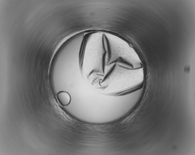 X0000113980932200910231705