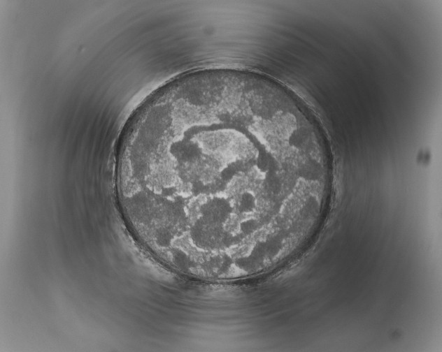 X0000113980933200910231705