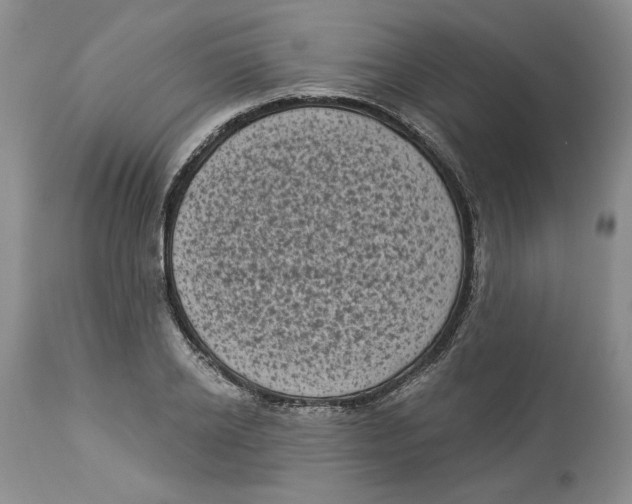 X0000113980934200910231705