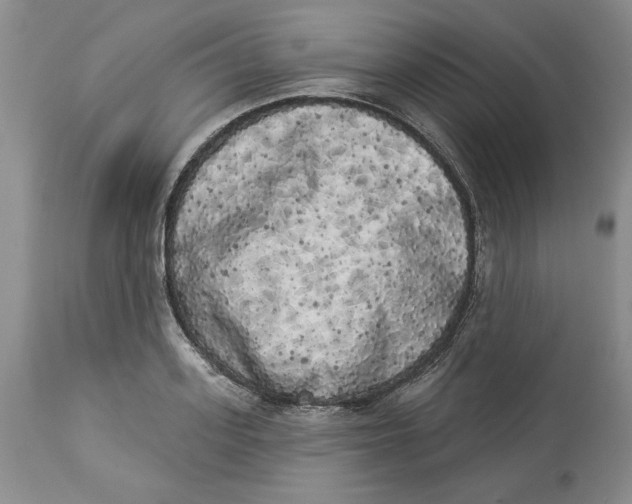 X0000113980939200910231705