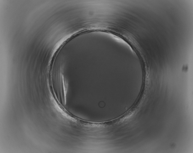 X0000113980941200910231705