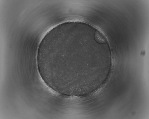 X0000113980943200910231705