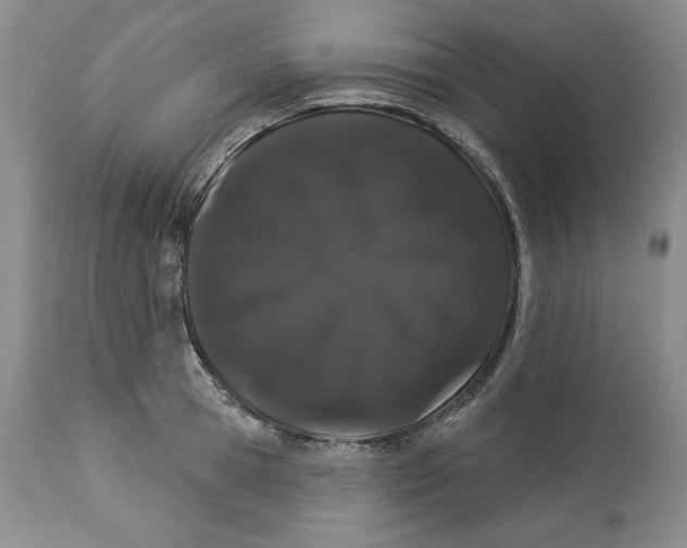 X0000113980945200910231705