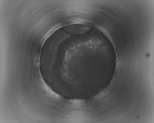 X0000113980946200910231705