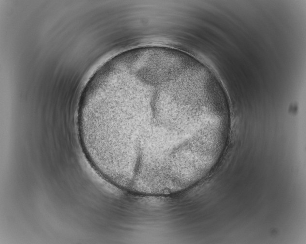 X0000113980947200910231705