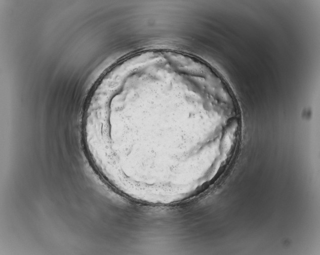 X0000113980949200910231705