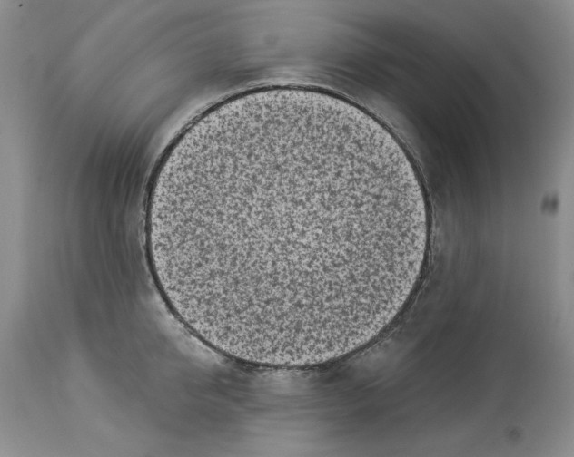 X0000113980950200910231705