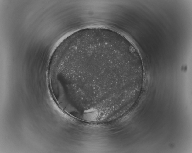 X0000113980951200910231705