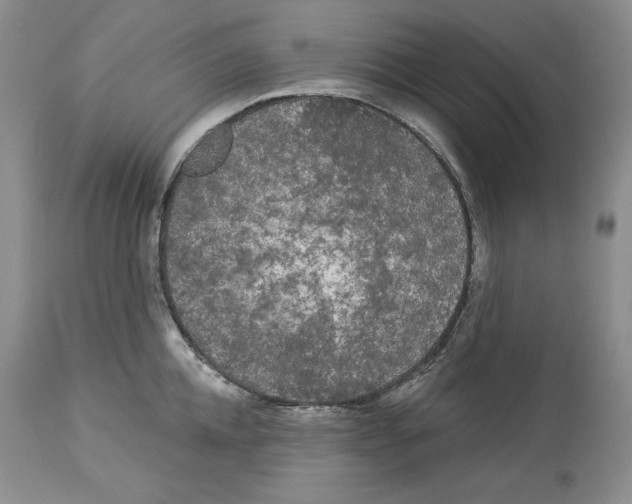 X0000113980952200910231705