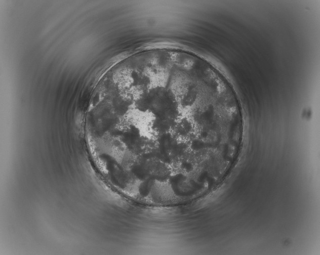 X0000113980953200910231705