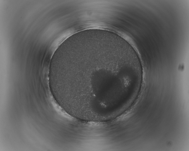 X0000113980954200910231705