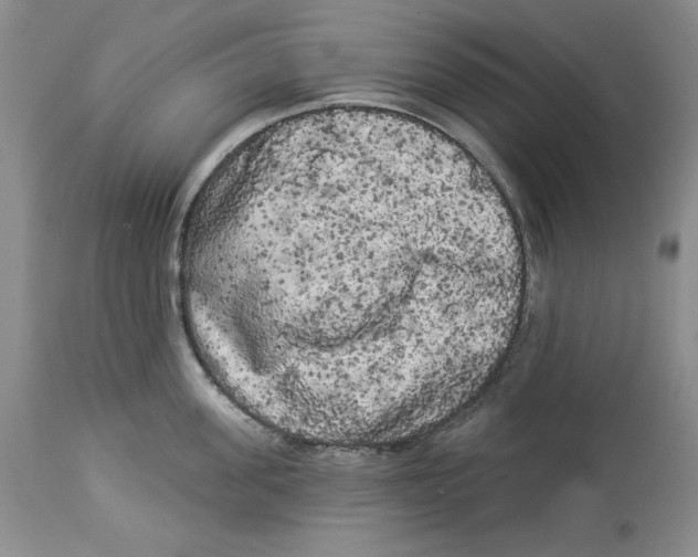 X0000113980955200910231705