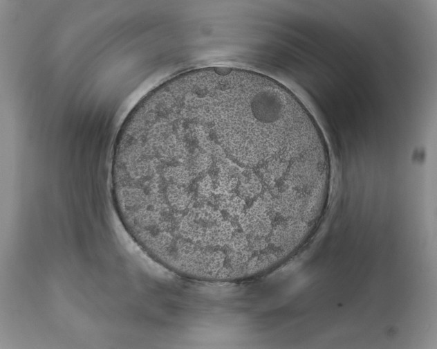 X0000113980957200910231705