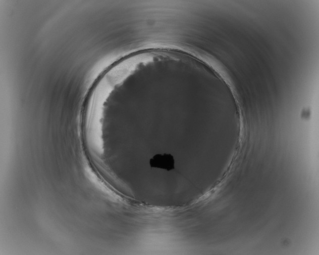 X0000113980958200910231705