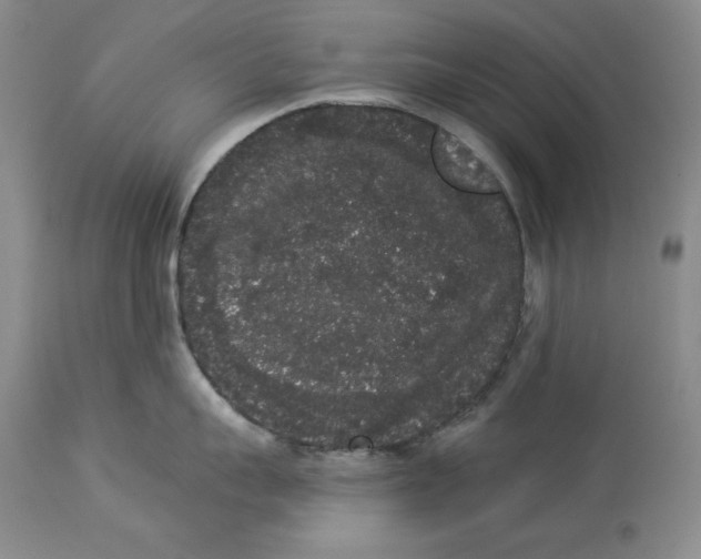 X0000113980959200910231705