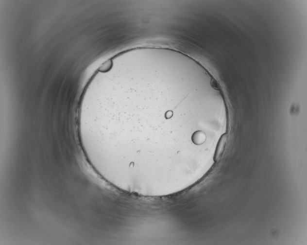 X0000113980960200910231705