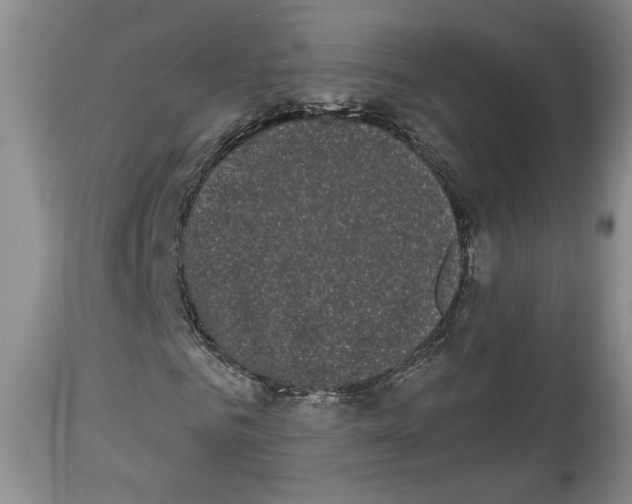 X0000113980961200910231704