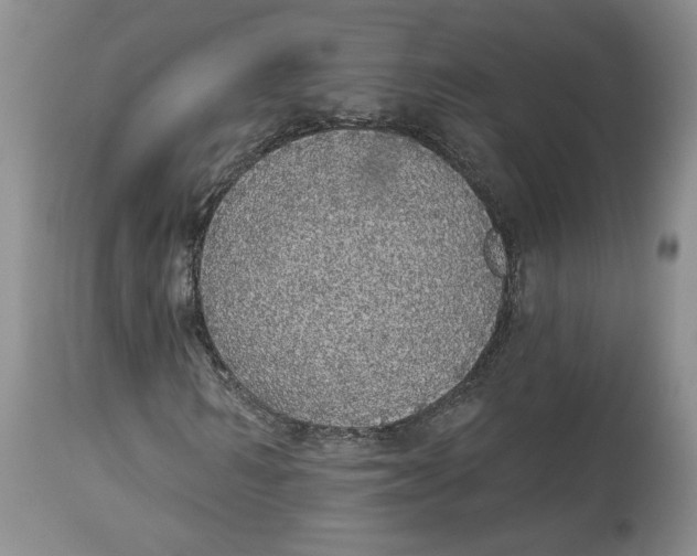 X0000113980962200910231704