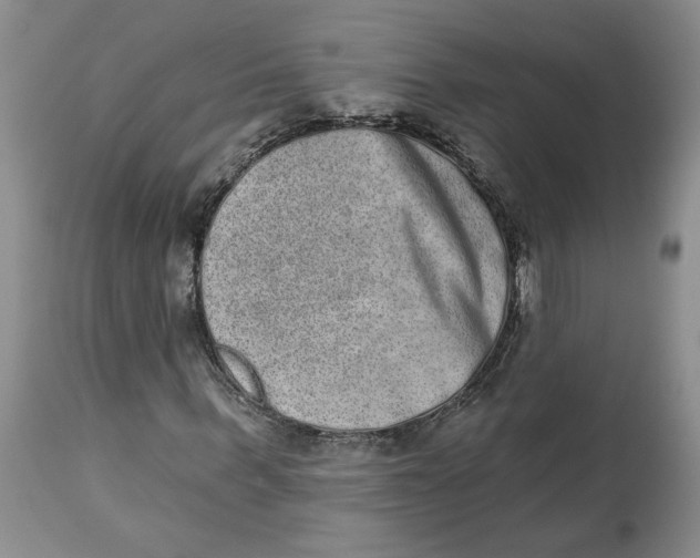 X0000113980963200910231704