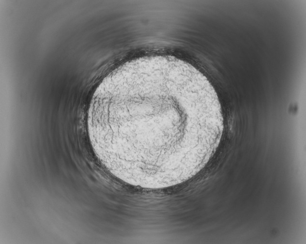 X0000113980964200910231704