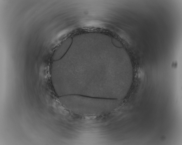 X0000113980965200910231704