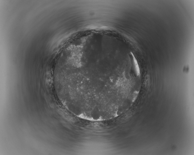 X0000113980966200910231704