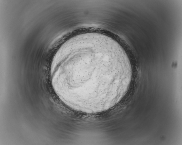 X0000113980967200910231704