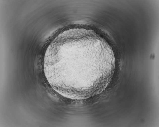 X0000113980968200910231704