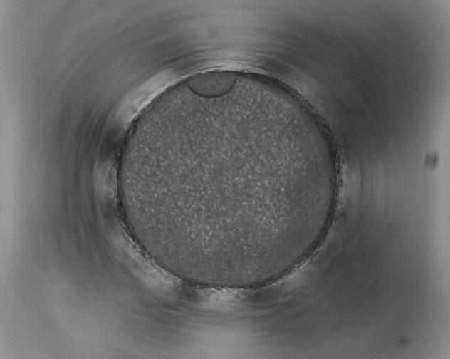 X0000113980969200910231704