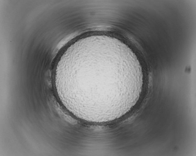 X0000113980970200910231704