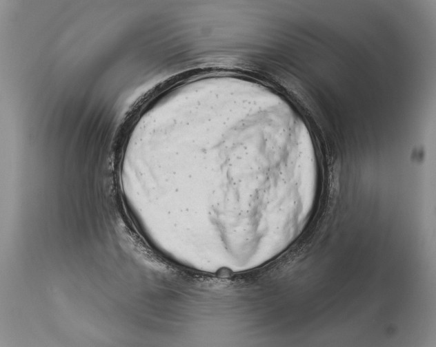 X0000113980971200910231704