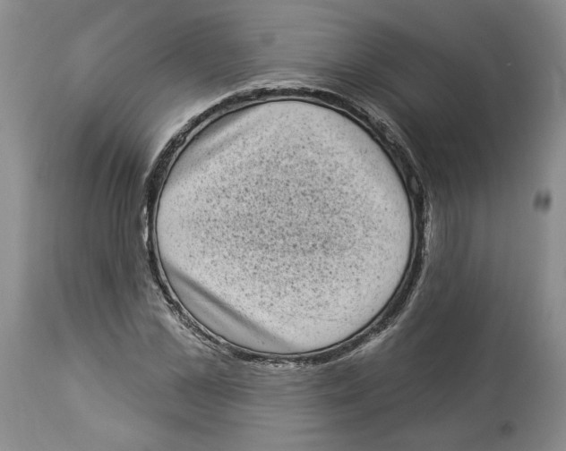 X0000113980973200910231704