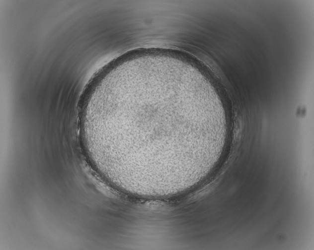 X0000113980974200910231704