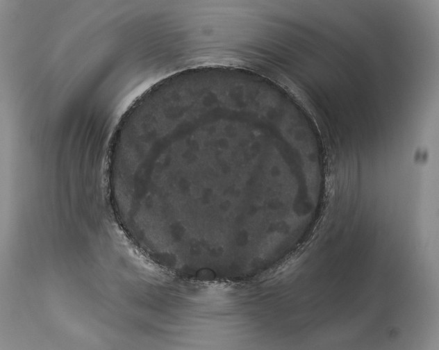 X0000113980975200910231704