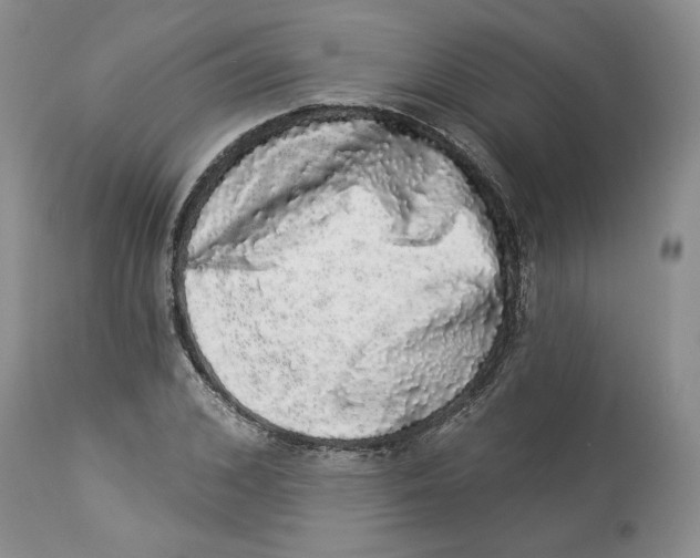 X0000113980976200910231704