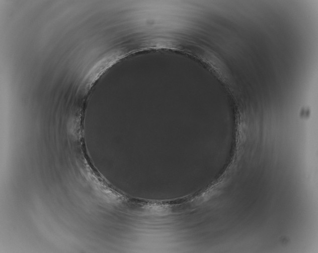 X0000113980977200910231704