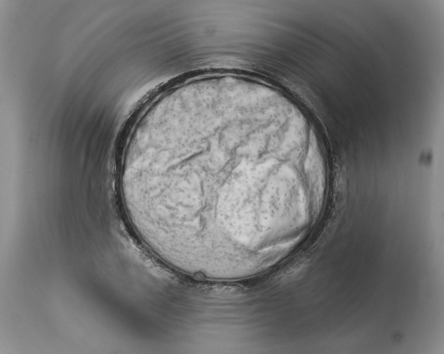 X0000113980979200910231704