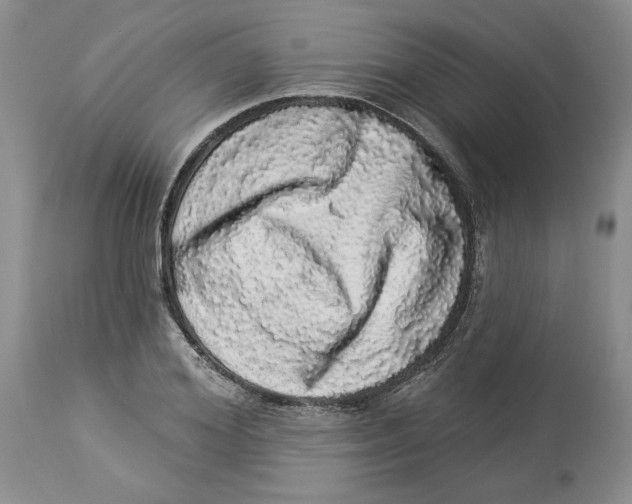 X0000113980980200910231704