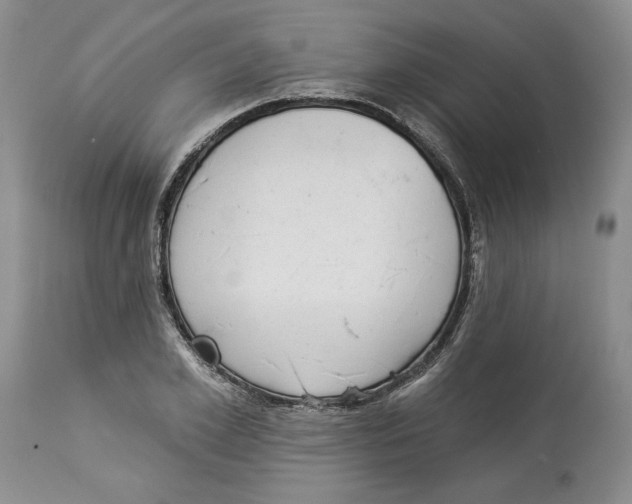 X0000113980981200910231704